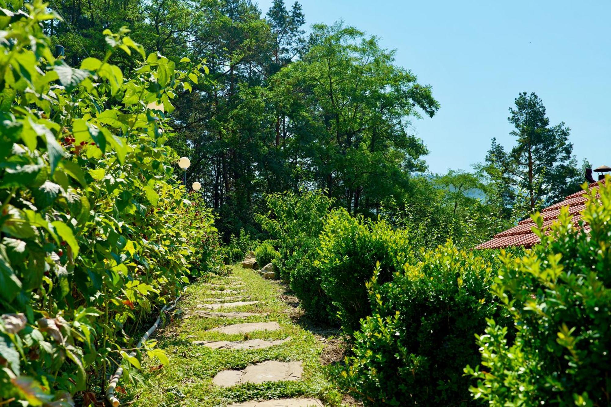 Vila Victoria Pangarati ภายนอก รูปภาพ